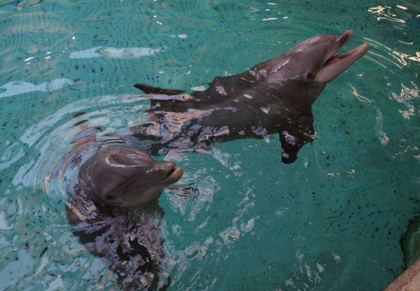 Ute Wolf tweet media