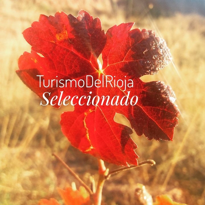 ¡ buenas tardes ! El número de incorporaciones va genial. Une tu #bodega #alojamiento #municipio #restaurante etc a la selección #turismodelrioja #turismoresponsable . En breve , con unas pocas incorporaciones más, arrancamos !! #larioja #LaRiojaApetece