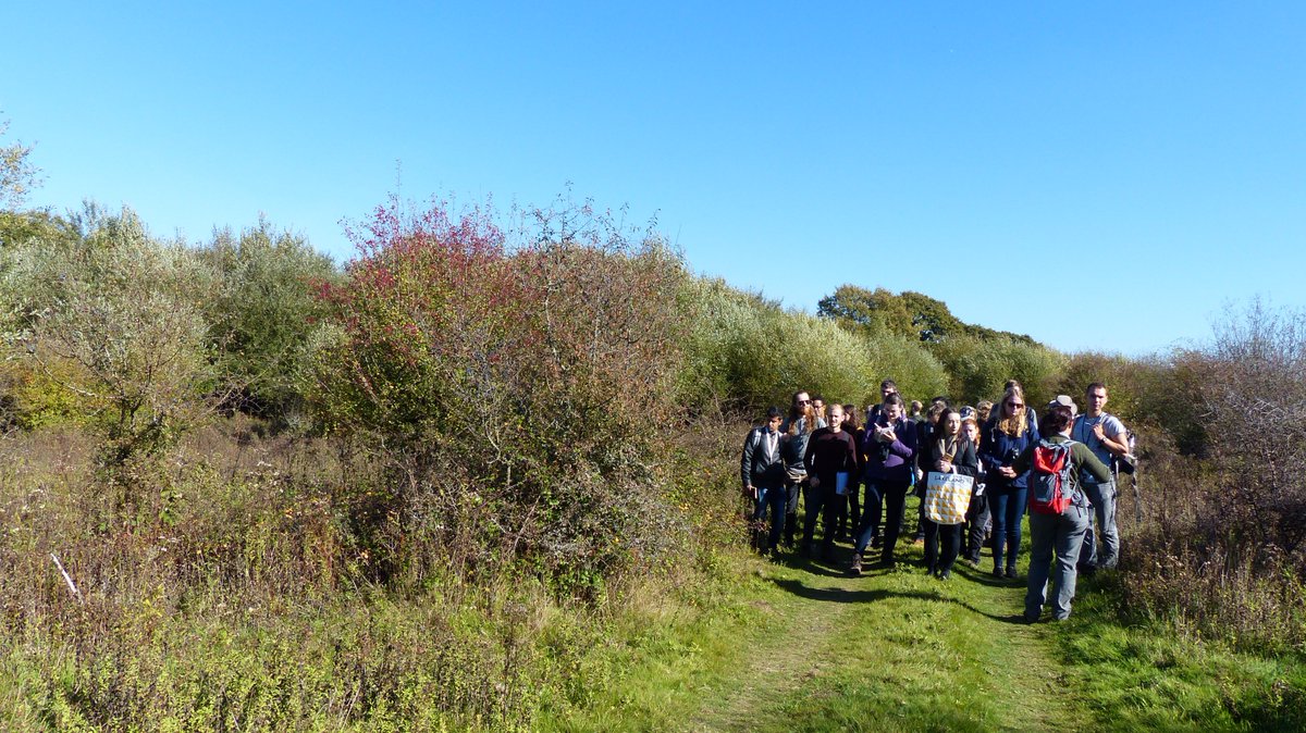 readingbotany's tweet photo. This was all arable fields 18 years ago! The power of radical restoration and (re)wilding on the 1500 ha Knepp Estate! @SussexEmerald @DrMGoesWild @hatbirder @UniofReading #MScPlDiv #MScSISS #MScWILDMAN @KneppSafaris https://t.co/pZuiSAEioX https://t.co/uzb3mSoCzk
