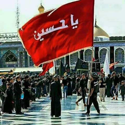 ZirwaZainab's tweet image. کہاں سے غم کو اٹھانے کا حوصلہ آتا
اگر حسین ع تیرا غم نہ سامنے ھوتا❤
#HussainSaveHumanity