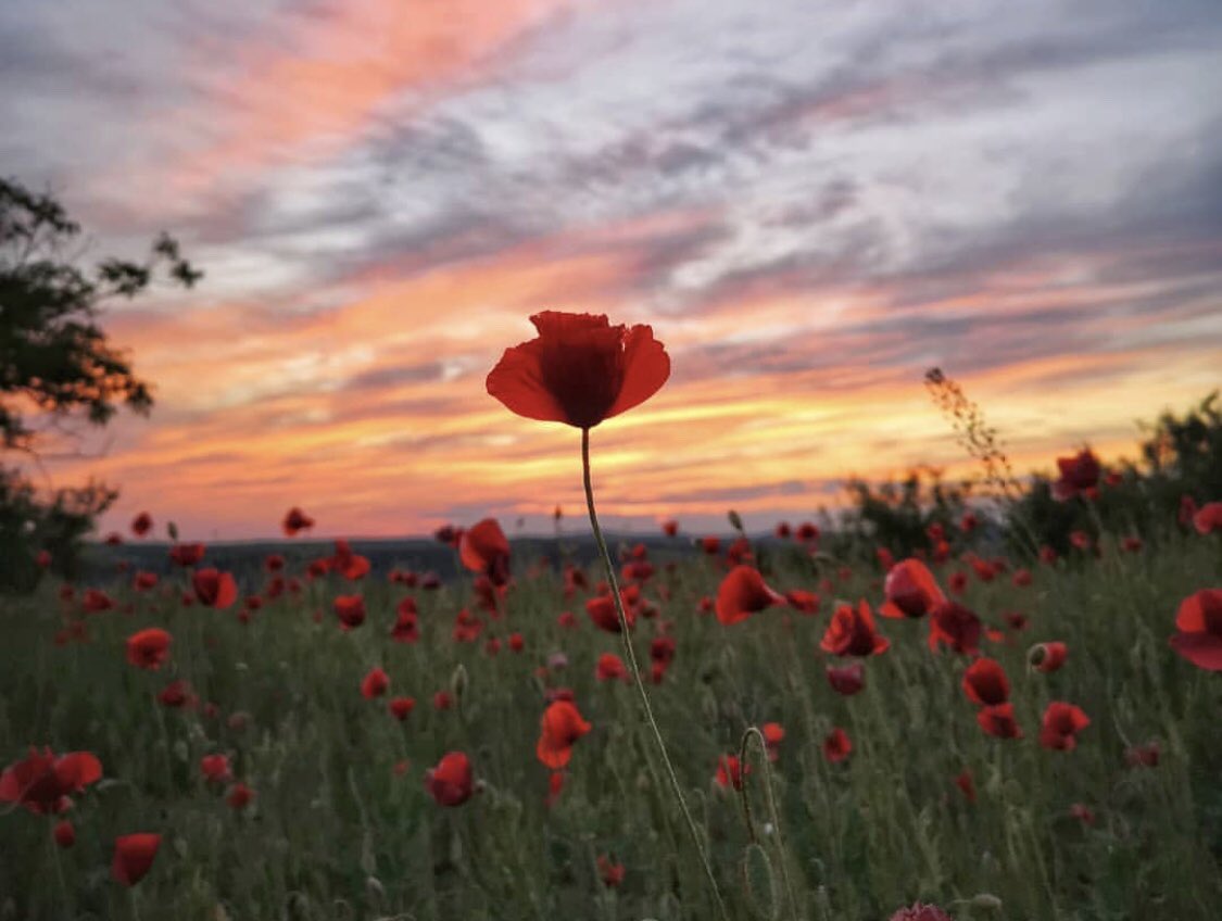 _theebutterfly's tweet image. Mommy is missing you something terrible this morning baby boy. Just know that I love you.💙 Rest in Heaven my love.🙏🏽 #PoppysMom