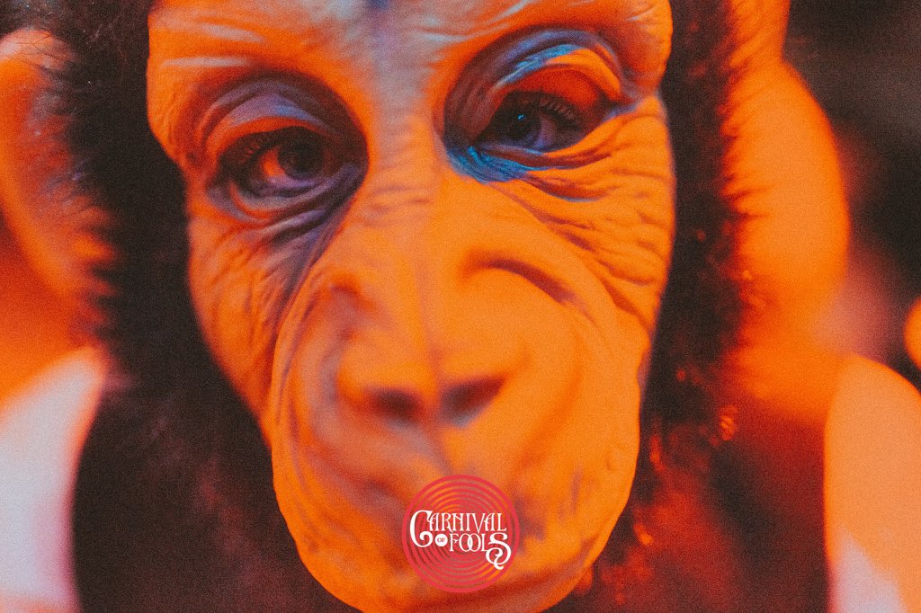 CarnivalFools tweet picture