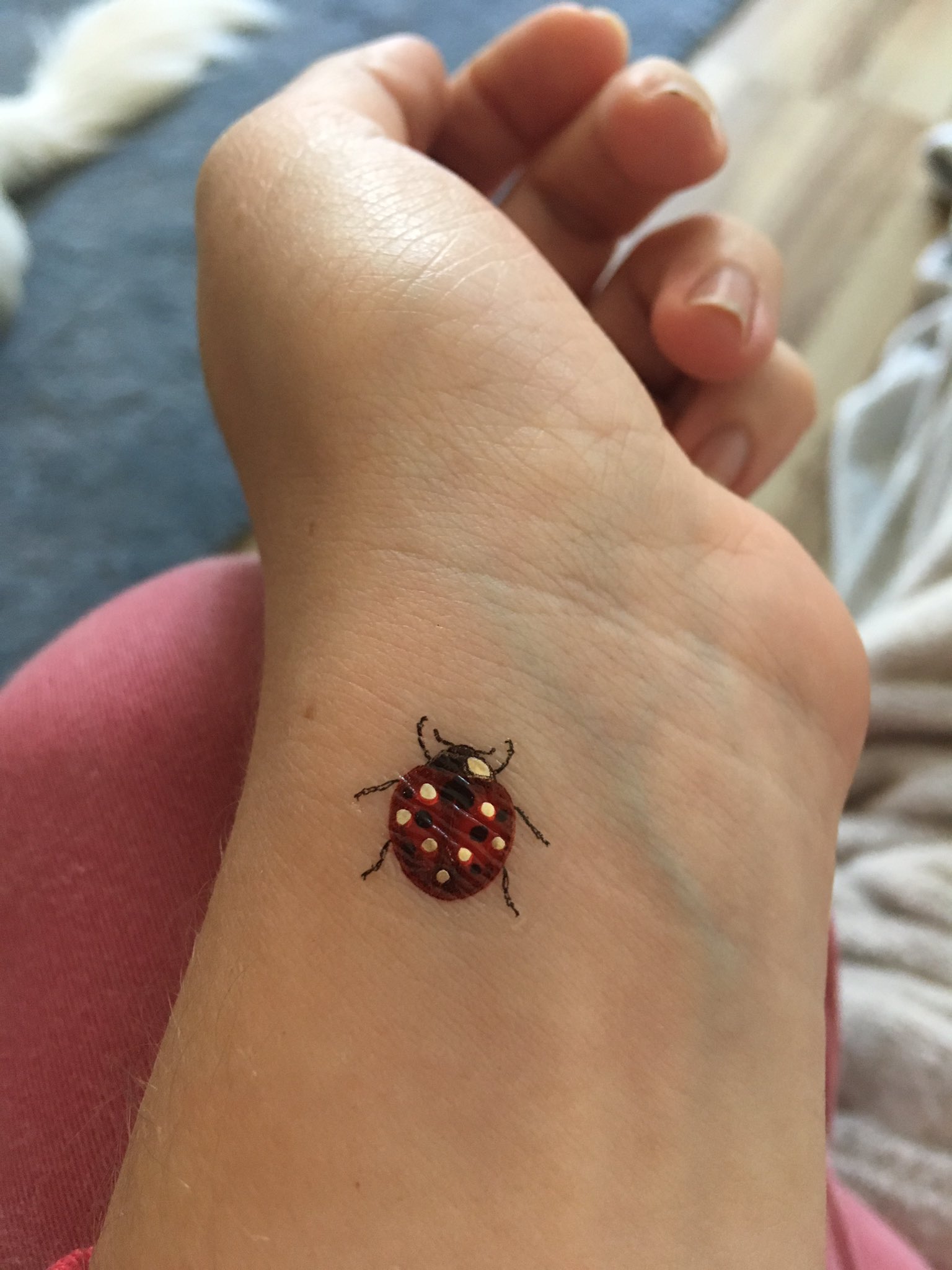 Top 71 ladybug tattoo design latest  thtantai2