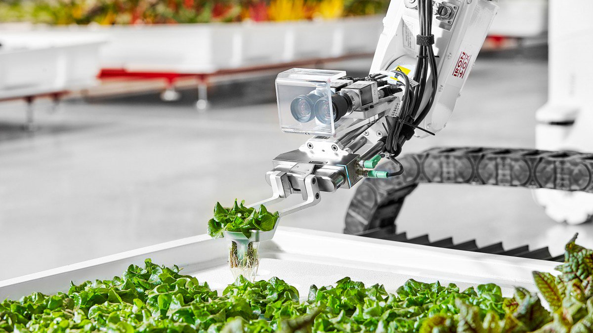 elem138's tweet photo. New autonomous farm wants to produce food without human workers https://t.co/S6sEgfrVMy https://t.co/hpWT6QhGU1