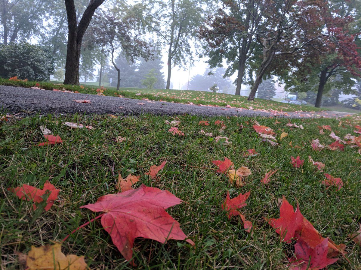 vikramaditya09's tweet photo. @ExploreCanada @NLtweets #explorecanada #MyFall https://t.co/oHkN8Fg0pT