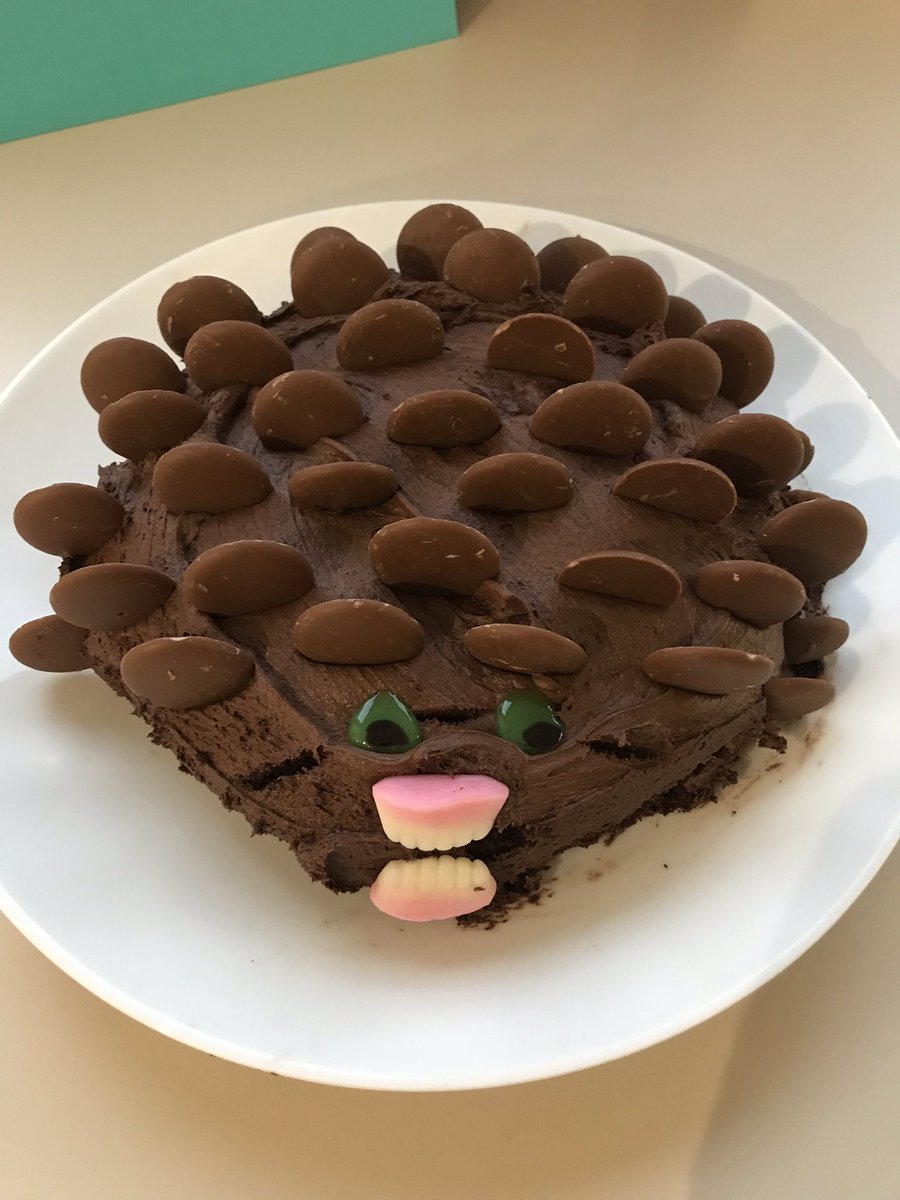 TeamNJDon's tweet photo. @BritishBakeOff Hedgehog cake made by Jess, Grace and Ava in Beverley for their Dads 40th birthday inspired by all the hedgehog cakes they’ve seen on #extraslice https://t.co/0c1WgD8MbR