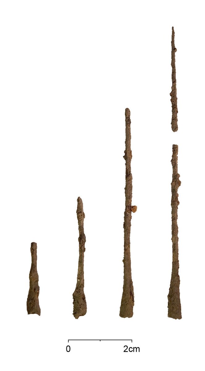 SuffolkArchCIC's tweet photo. During the recent Clare Castle dig, we found a number of these iron objects- but were they arrowheads or rushlight holders? Thanks to Saxon finds specialist, Ian Riddler, we have an answer! They're
type M7 military arrowheads, 11th-13thC #ClareCommunityDig @ClareMuseum @HLFEoE https://t.co/uPPOgibP00