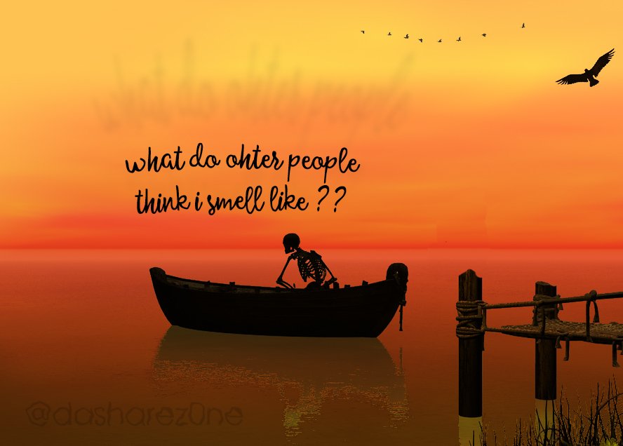 ALONE WITH MY THOGHTS
= https://t.co/Qtp3PuUDXE ADMIN =