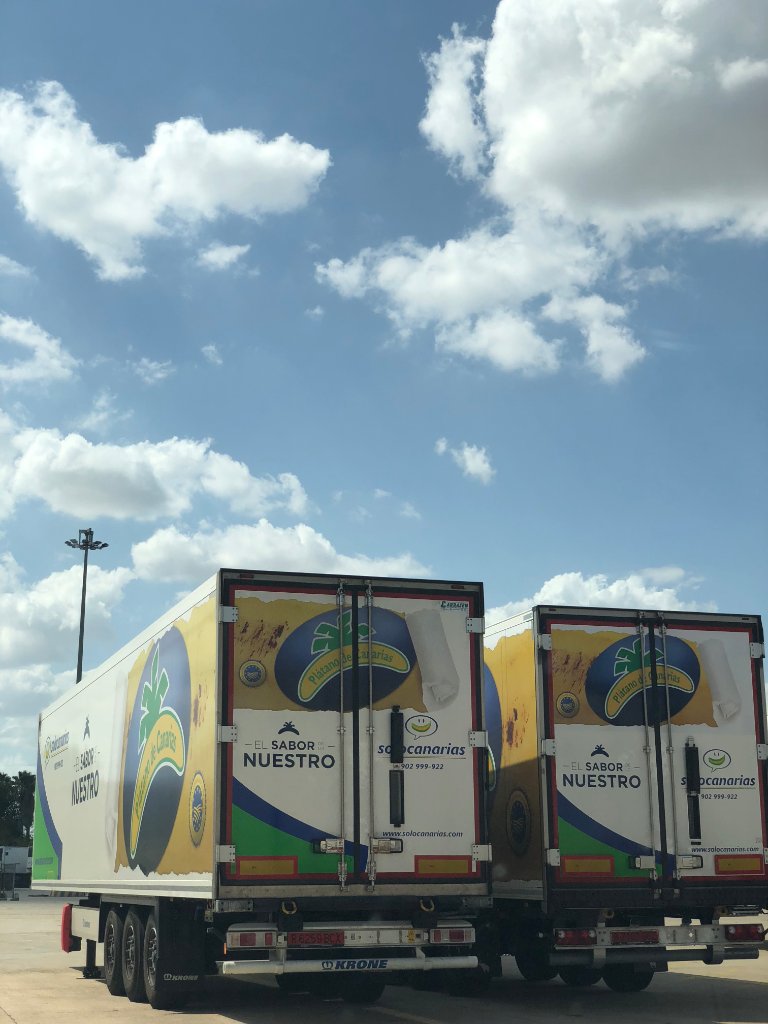 Solocanarias tweet media