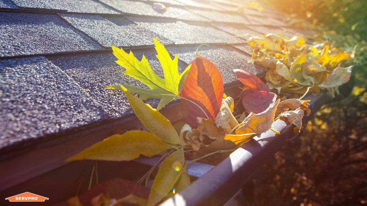 Fall leaves are pretty, but not when they clog up your gutters. Cleaning gutters now saves your home from future damage.