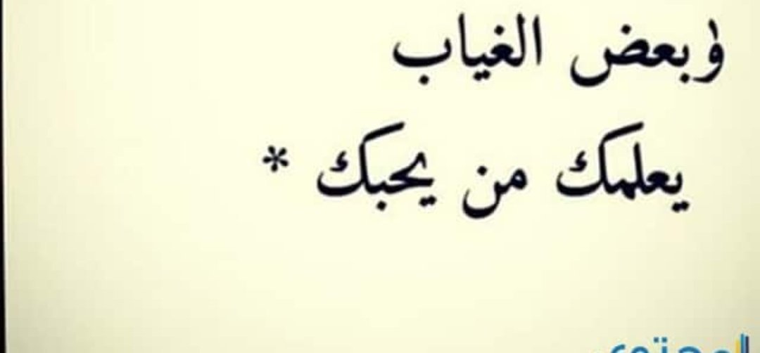 ZbudM tweet picture