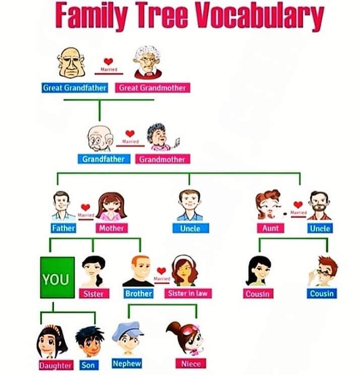 PARENTES EM INGLÊS - Você sabe dizer os parentescos em INGLÊS? Neste Q