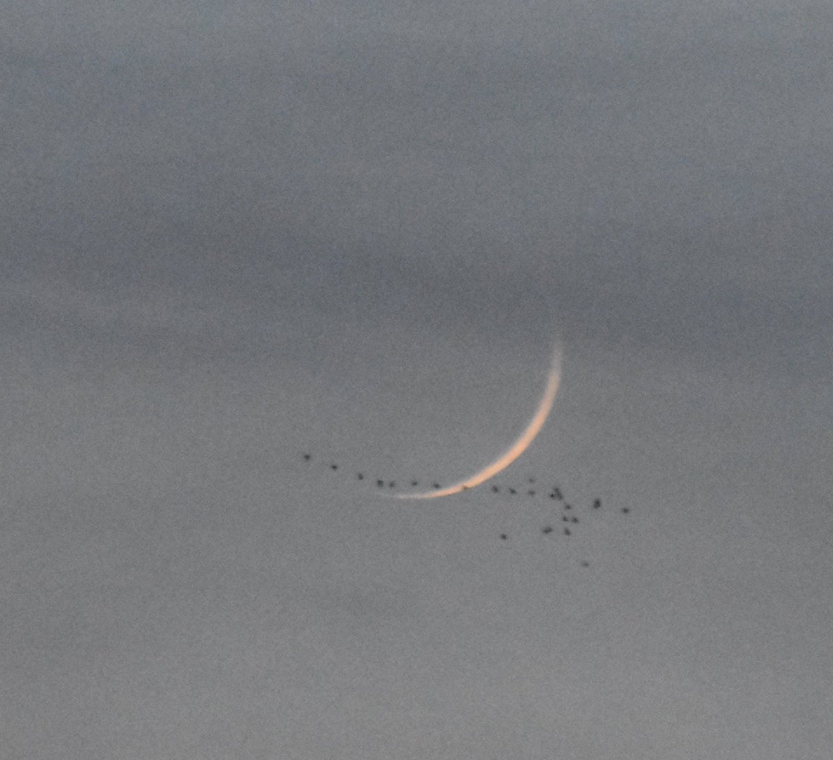ObservaUCM's tweet photo. Primer dia de Luna creciente al atardecer y entre las nubes desde el @ObservaUCM con los alumnos de Astronomia Observacional de @Fisicas_UCM @unicomplutense Fotos de @DMontesG https://t.co/t7HxIKRii4