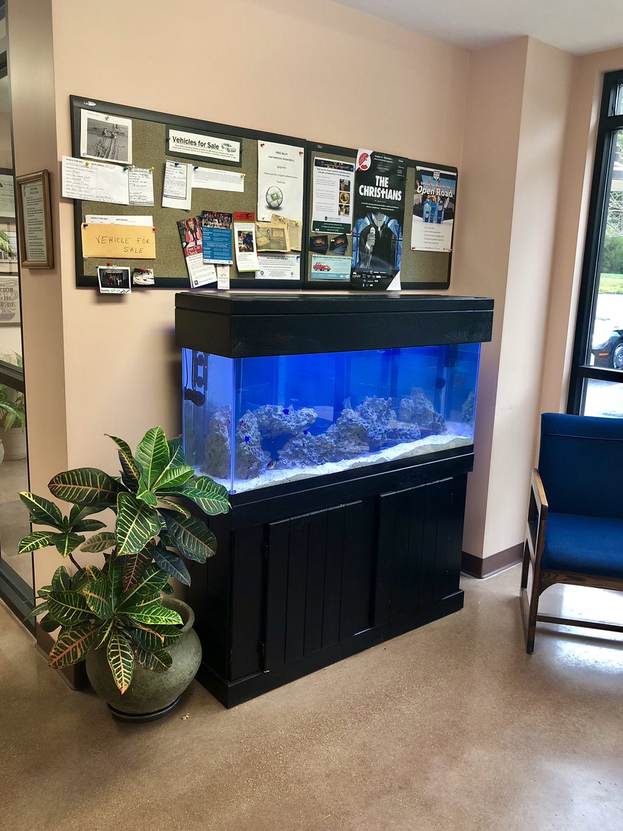 Water change. And adding more fish. Coral will be coming soon!!!