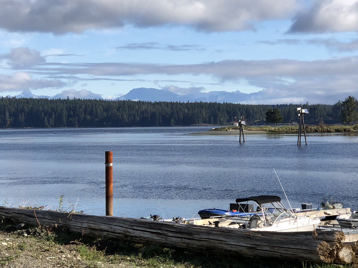 shamukemo's tweet photo. Went for a gorgeous run in Campbell River & on the Wei Wai Kum First Nation this morning. Dipped in the Straight, outran a tugboat, & saw a cedar canoe being made. A wonderful way to set up the day. #ybl #weiwaikum #roadruns #campbellriver https://t.co/epZqMBbE3s