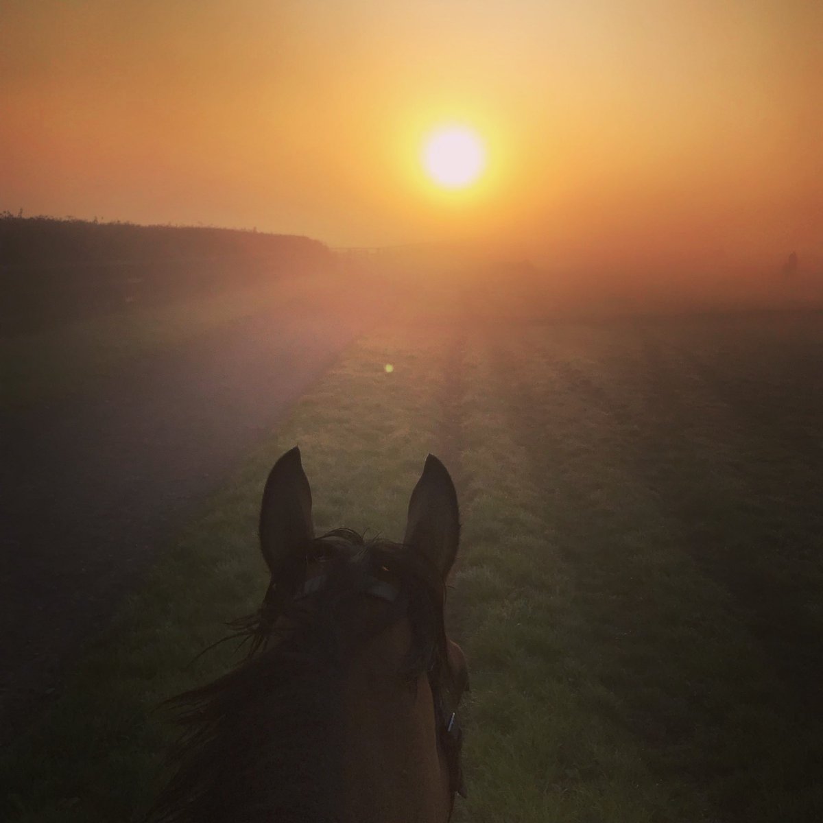 It was a beautiful morning in Upper Lambourn today 😍