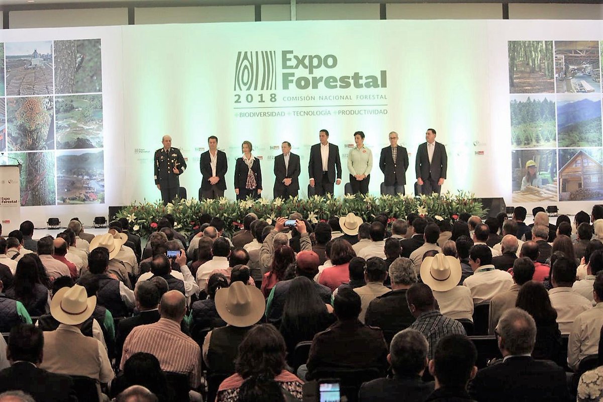 CONAFOR's tweet photo. 🌲⭐️🎉🌳Se inaugura #ExpoForestal 2018, la exhibición más grande de productos, servicios y maquinaria relacionada con todos los procesos del sector, donde tendremos durante 3 días:
✅101 cadenas productivas 
✅35 charlas
✅11 países invitados
✅250 empresas expositoras y más https://t.co/utHLTRyzgT