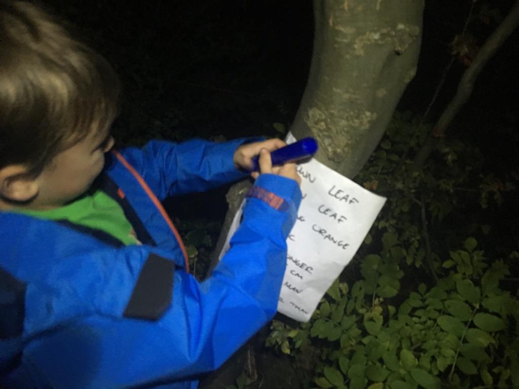 30thSheffieldBB's tweet photo. Exploration and scavenger hunt in donkey woods and og donkey woods complete! #donkey #woods https://t.co/6NRJn6uUQG