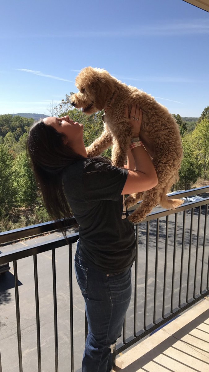 morgmcneill's tweet photo. Last night I lost my best friend, my child, my traveling partner. My heart is broken and I don’t really know how to fix it. 
Hug your babies extra tight bc shitty things happen all the time. 
Gypsy go roll in lots of mud and walk across every white couche. 
I love you so much.💔 https://t.co/m3iTYj8tsI