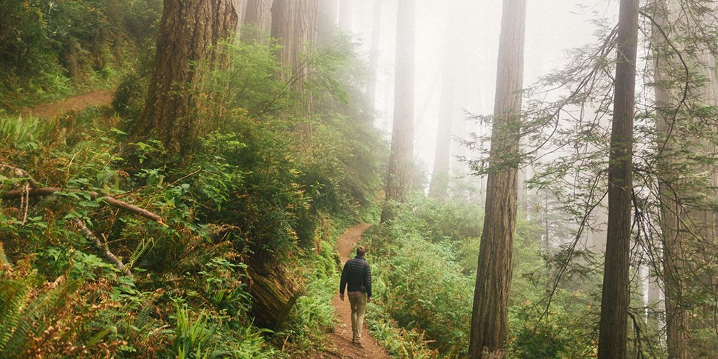 A study finds that walking in nature yields measurable mental benefits, and may reduce risk of depression.

woods.stanford.edu/news-events/ne…

#WorldMentalHealthDay #NatureHeals #TheGreatOutdoors 
#WhatsYourUpventur #Yonder