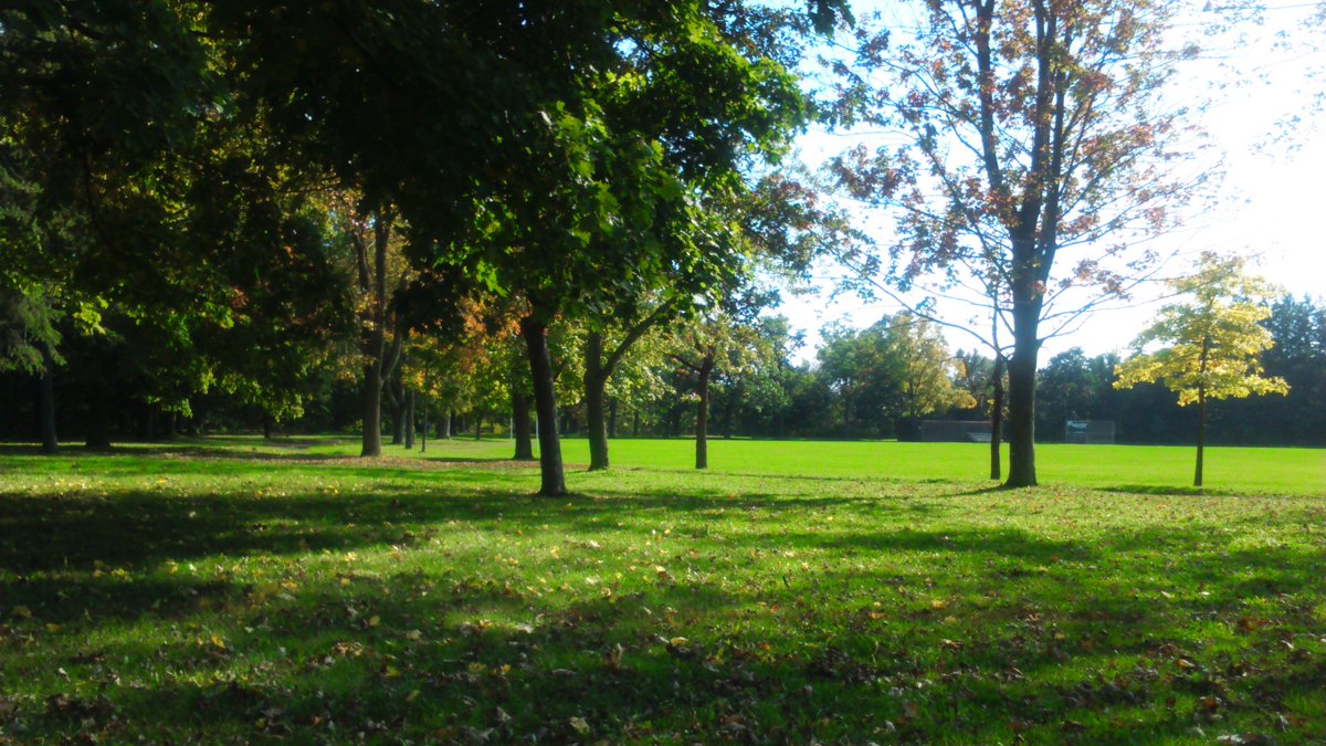 Marking on the grass. #HumberLakeshore #OctoberSunshine