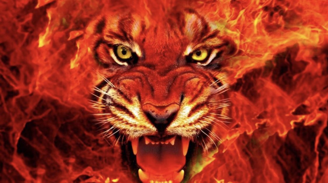 AMCHypeSquad's tweet photo. 🚨SENIORS🚨
Did you know that there is a Tiger Senior tradition that happens at the HoCo Spirit Night?

Every Senior should participate.....but does EVERY Senior know about it?? 
Help spread the word by retweeting (likes don’t get seen)
#PassTheTorch #LightTheLetter https://t.co/lhvP9SEFMY