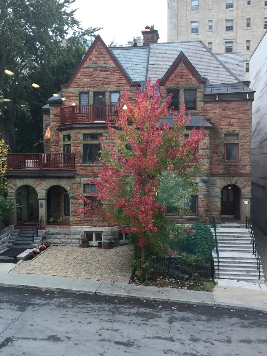 MOHistory's tweet image. Look..... it’s Fall! Thanks #oha2018 for letting me see seasons! #californiaproblems