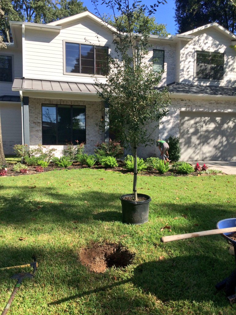 d d tree service on L D Lawn Service Ldlawnservice1 Twitter