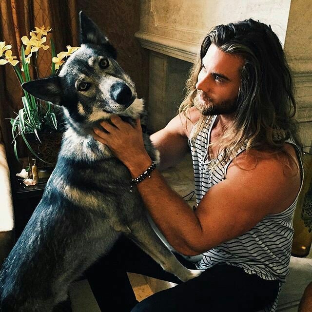 Dog's are the best thing ever.