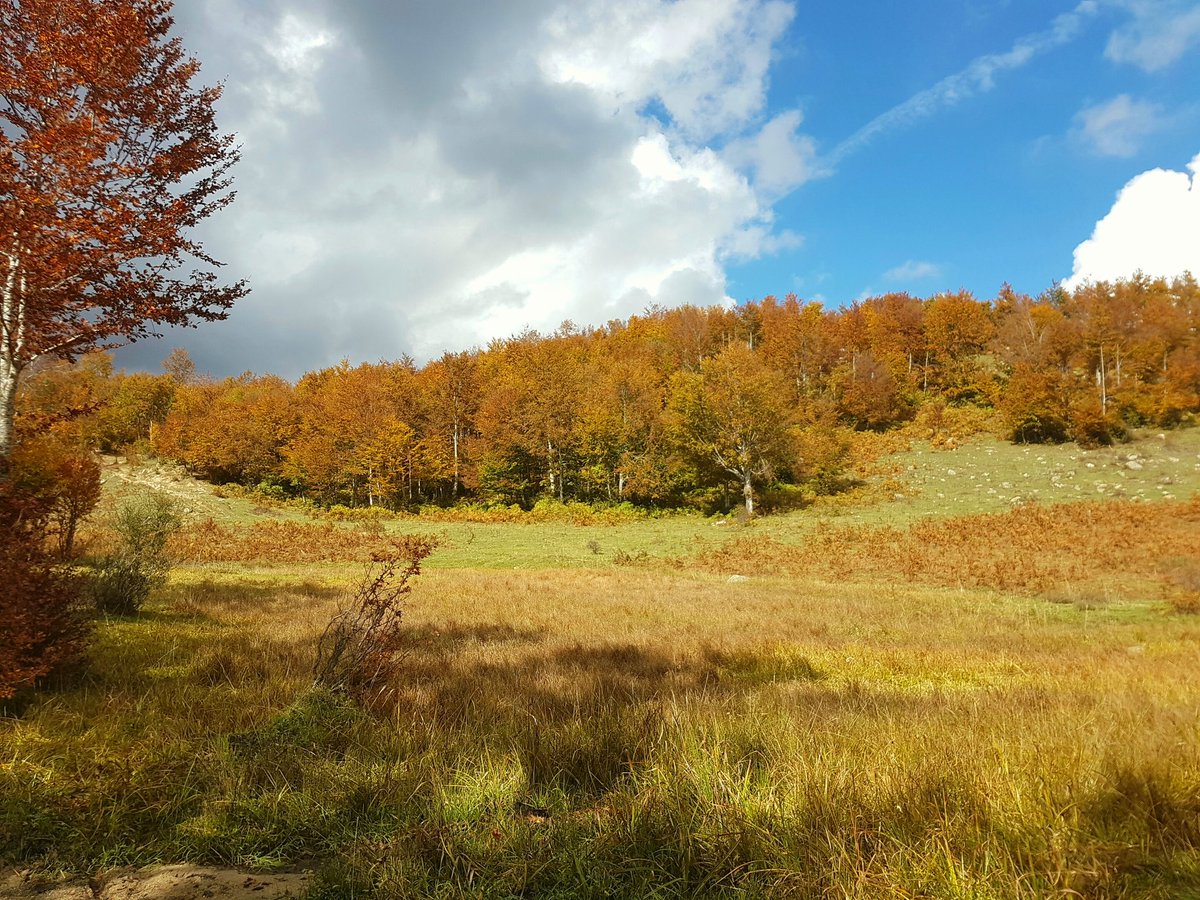 Sabato 13 e domenica 14 Ottobre 2 bellissime giornate con tante #escursioni alla scoperta del #foliage nel #parconazionaledellasila. Su camminasila.com nella sezione eventi tutte le informazioni