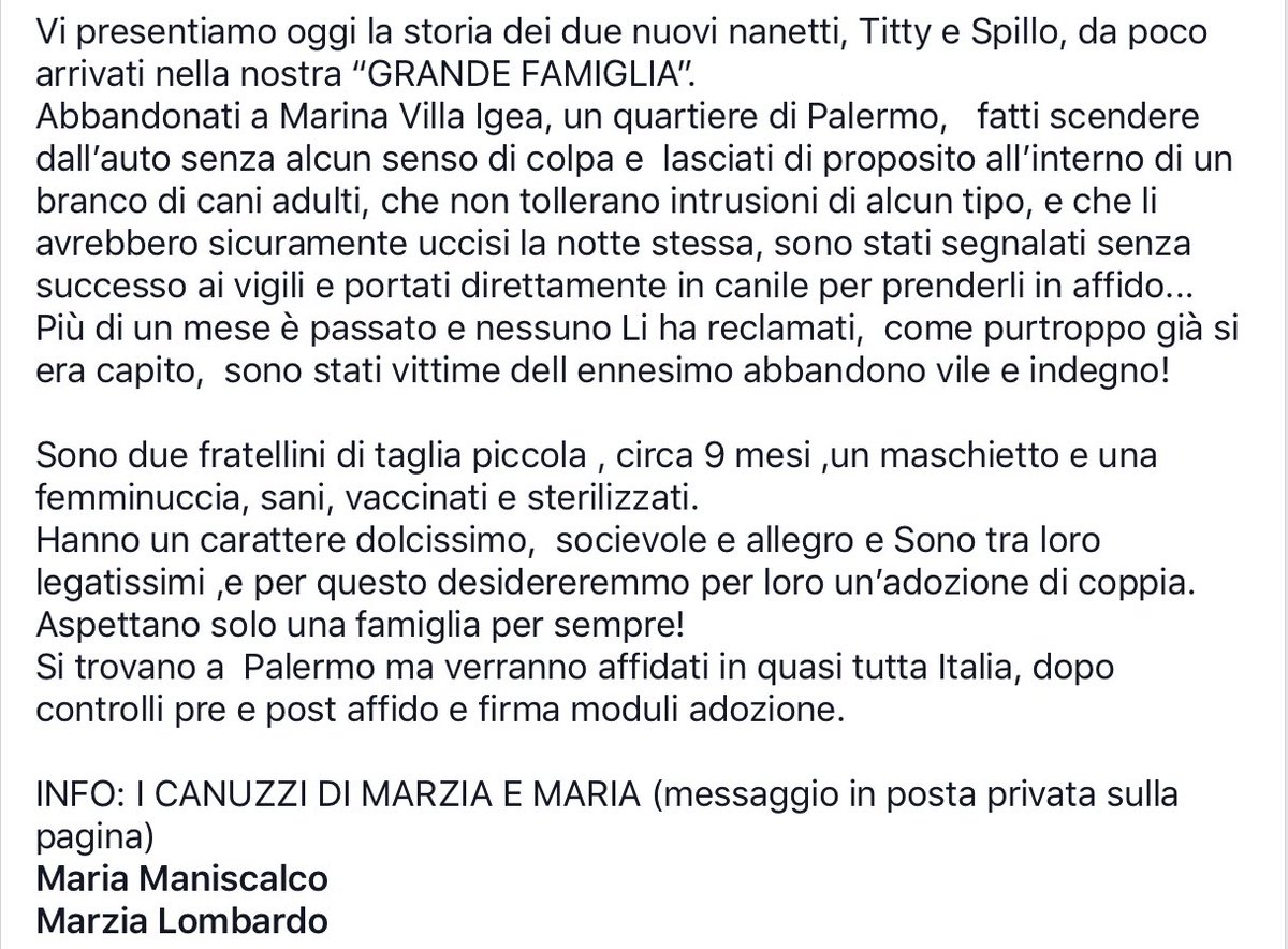 CanuzziE's tweet photo. Loro sono Spillo e Titty...
Guardateli... non credete siano meravigliosi?
Anche loro frutto di un abbandono, anche loro erano in strada.
Chiamate per loro!
Condividete!
#dog #dogs #cane #cani #canuzzi #Adoption #adoptdontshop #AdoptDontShop #AdoptaNoCompres #love #animals https://t.co/gmd4Cs1DH9