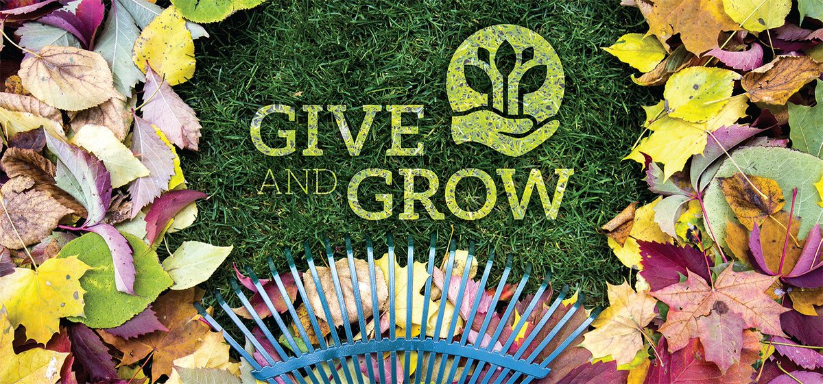 GleanerLife's tweet photo. Make a difference in your community with Gleaner’s Give and Grow projects. Gleaner members can host a community car wash, sponsor a preschool, beautify a senior citizen’s home — the possibilities are endless. Learn more and apply at https://t.co/2YUzdjctqP. #giveandgrow https://t.co/4oyI6OYDXZ