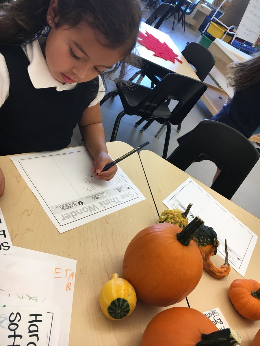 BurrellMiss's tweet image. Exploring gourds &amp;amp; pumpkins🎃 Writing down what we see, think &amp;amp; wonder! #literacyfun #hcdsbk @MissDemianiuk @StGregoryHCDSB
