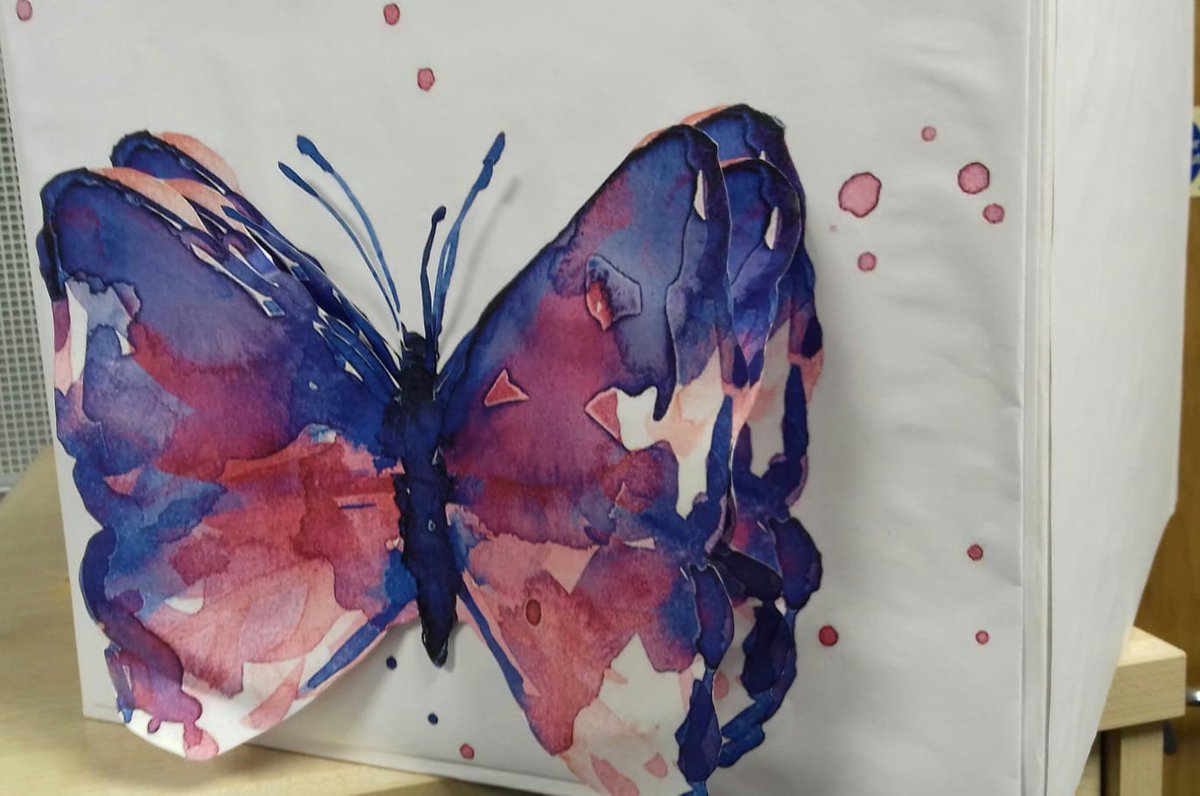CompassSupport_'s tweet photo. To mark #WorldMentalHealthDay, our Young Leaders are launching their new 'Butterfly Box' campaign 🦋
These boxes will be available for people to post anonymous questions about #MentalHealth which advice and useful links will then be posted to a #ButterflyBox Facebook page. https://t.co/q3hRiPx9BJ