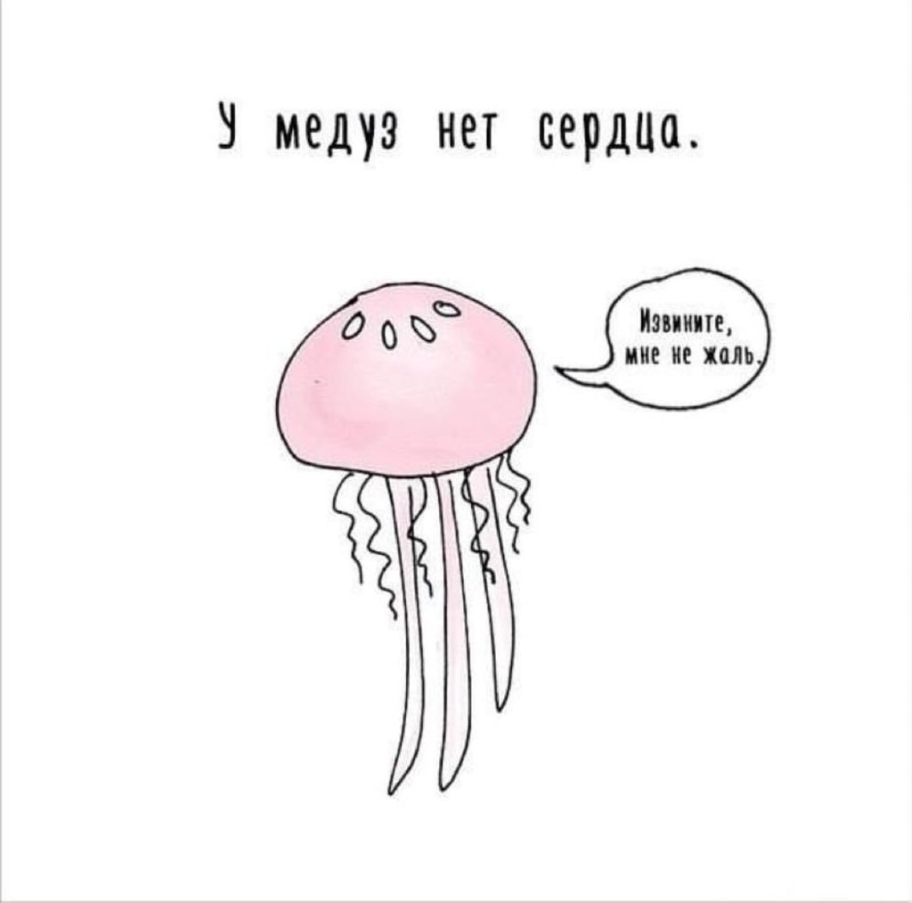 Смешные картинки медуз