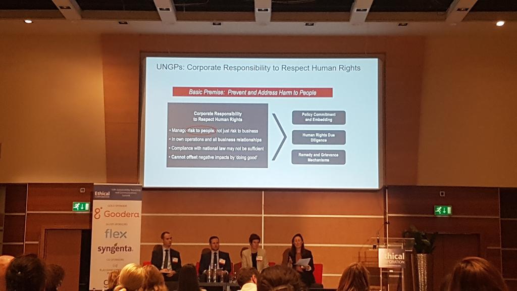 Very important point on #HumanRights, you can not offset negative impacts by 'doing good' #SRCEU