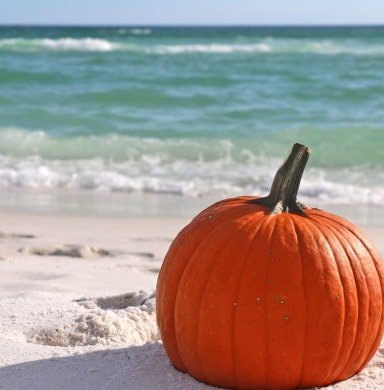 SeaBeastGear's tweet photo. 🎃🌊⛵
#seabeast #beach #snorkeling #halloween https://t.co/r1VNmGDlba