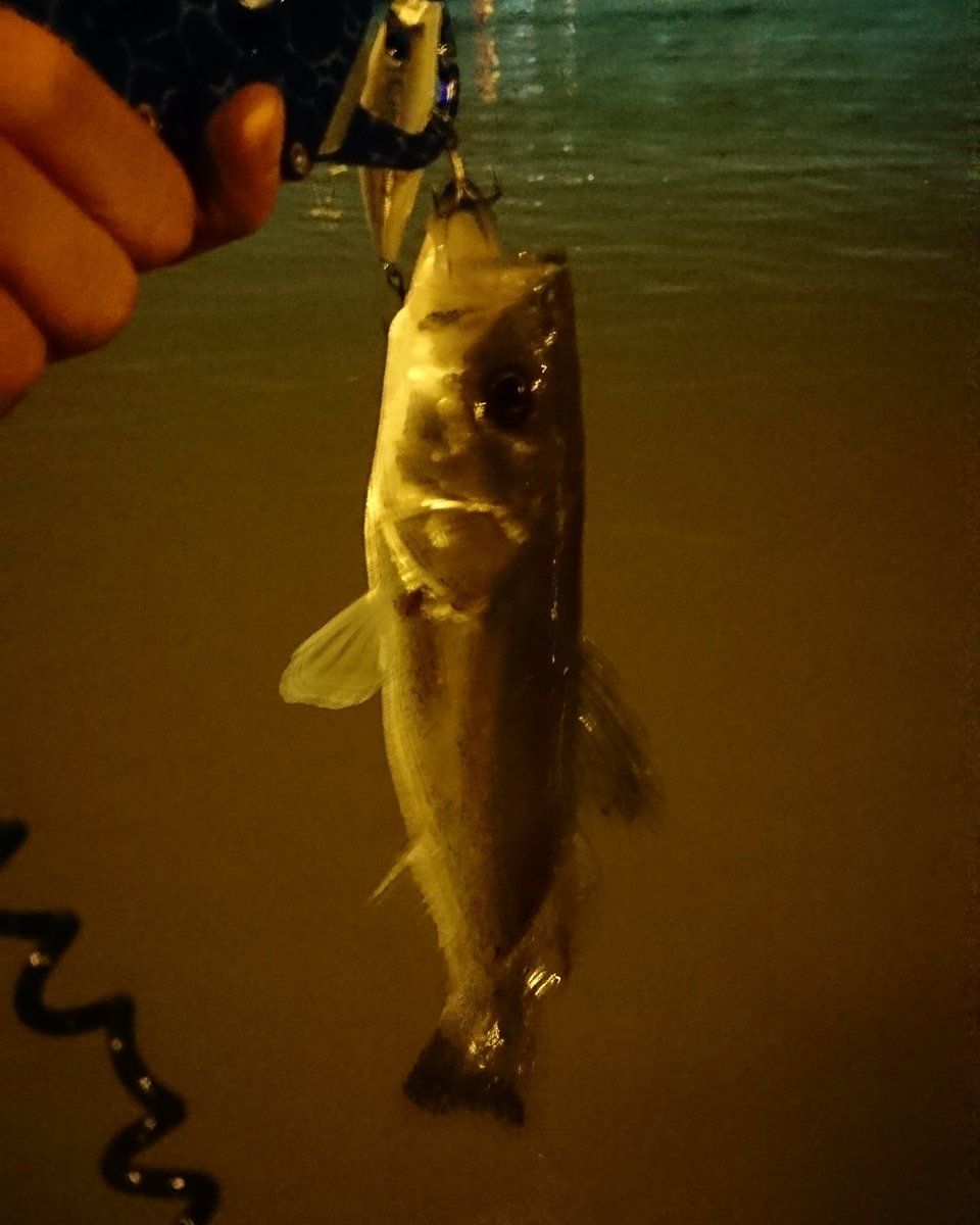 クロスウェイク