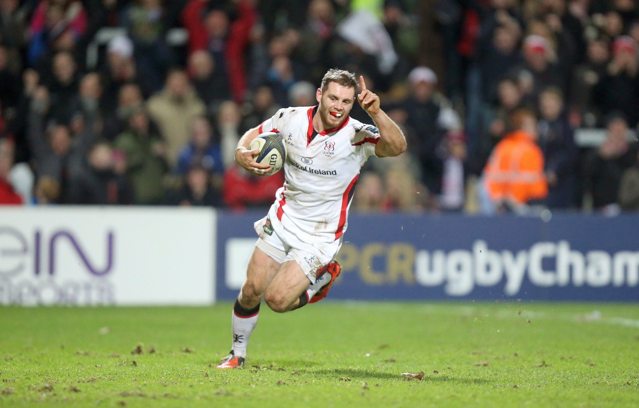 ulster rugby padded jacket