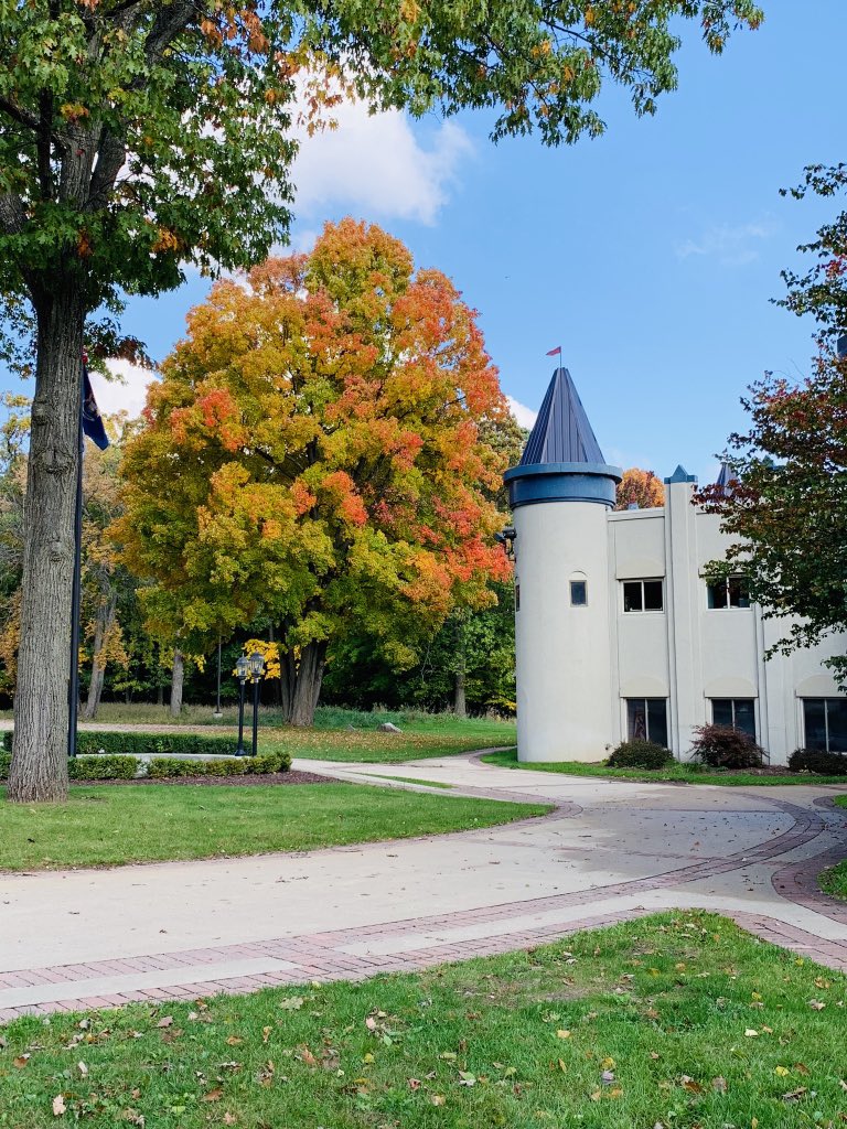 canadian_lakes's tweet image. Orange has taken over! After the first picture taken just two weeks ago, we&apos;ve checked on our tree at the same time every week. The second picture was taken last Tuesday, Oct. 2 and the last picture was taken just yesterday! The results of nature changing its colors are amazing.