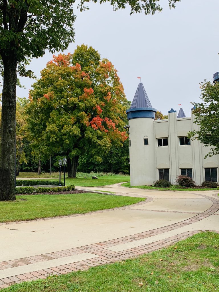 canadian_lakes's tweet image. Orange has taken over! After the first picture taken just two weeks ago, we&apos;ve checked on our tree at the same time every week. The second picture was taken last Tuesday, Oct. 2 and the last picture was taken just yesterday! The results of nature changing its colors are amazing.