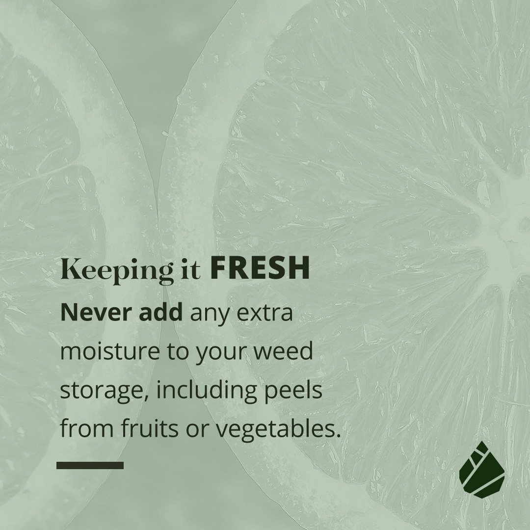 This can cause bacteria and mould to grow and ruin your stash! 🌿#modernleaf #education #facts #cannabis #qotd #themoreyouknow🌈