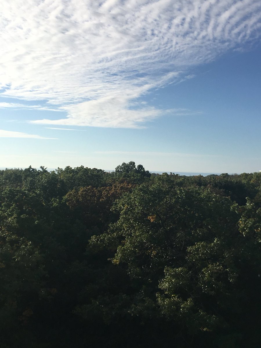 Penalosa_G's tweet image. Magnificent day in #Toronto for me to do the right thing: VOTE #Keesmaat4Mayor and @GordPerks for Council. Both ready to move from talking to DOING. #TO4all.