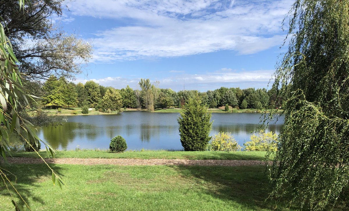 Lunchtime walk at Chadwick Arboretum North Research Lake #HitTheRoad2018