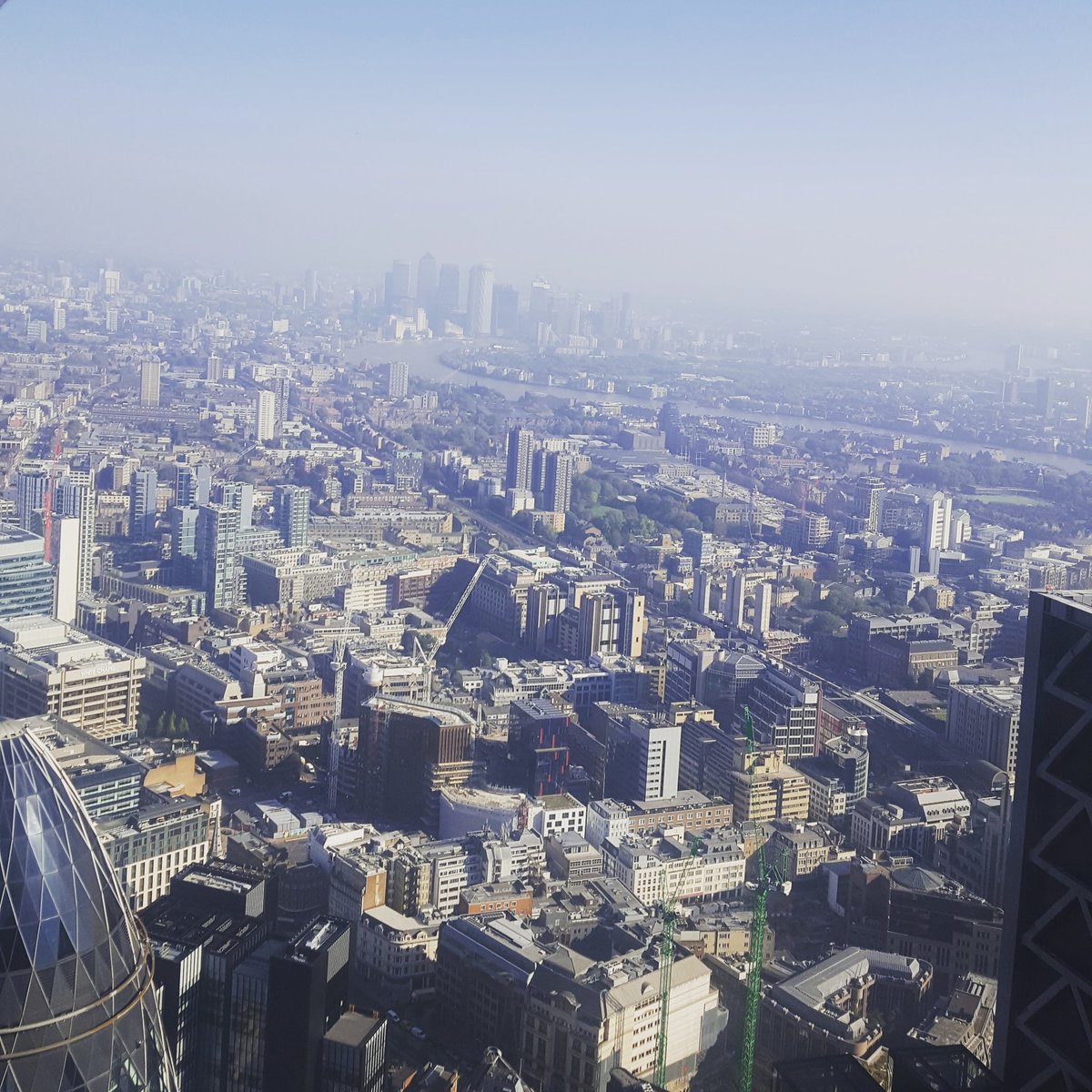 juliefutcher's tweet photo. a bit of #tallbuilding love going on today #airquality #InversionLayer #urbanclimate https://t.co/wG3hVfKCD9