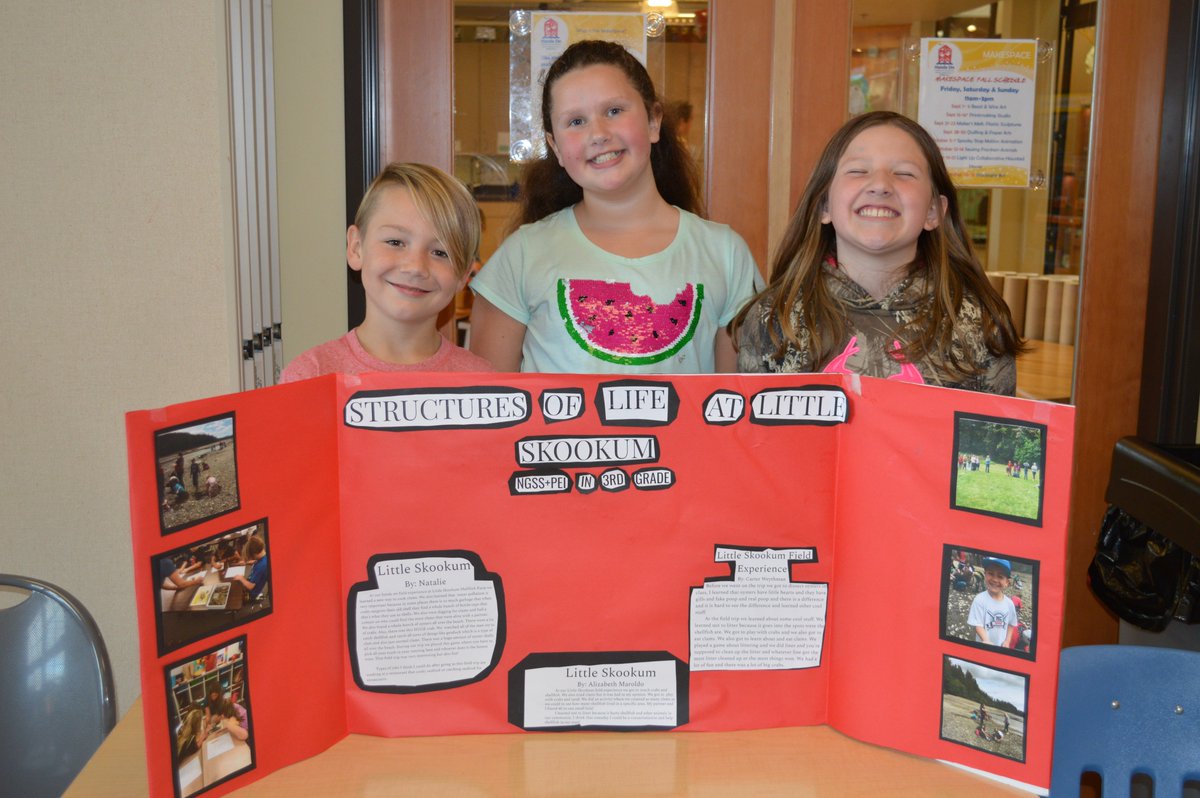 WA_SBE's tweet image. Students from 5 school districts showcased their love of hands-on science learning at the &quot;All Students Can Learn Science&quot; celebration of the WA science standards #WAScience4All @FPSD402 @ChehalisSD @NTPSnews @OlympiaSchools @SheltonSchools @washingtonstem @ReadyWA @waOSPI