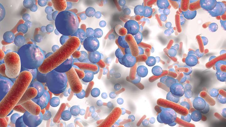 Could Immunotherapy Provide An Effective Solution To Antibiotic-Resistant Infections?

buff.ly/2Pp6dnB

#ClinicalResearch #Immunotherapy