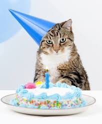  Happy Birthday Nelly! 