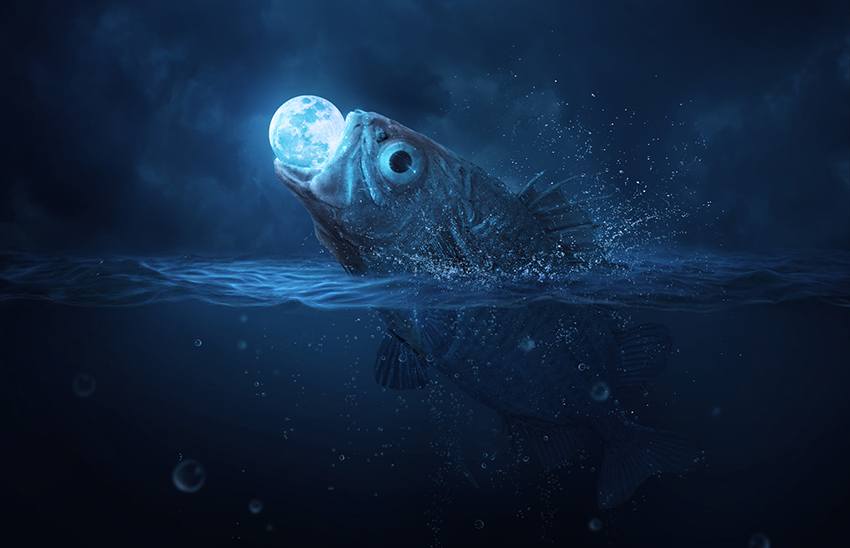 Photoshop's tweet image. Fishing around for the best way to create a water photo manipulation? Jenny Le has got you covered with this #Photoshop tutorial: adobe.ly/2PnFg3L (via @tutsplus)