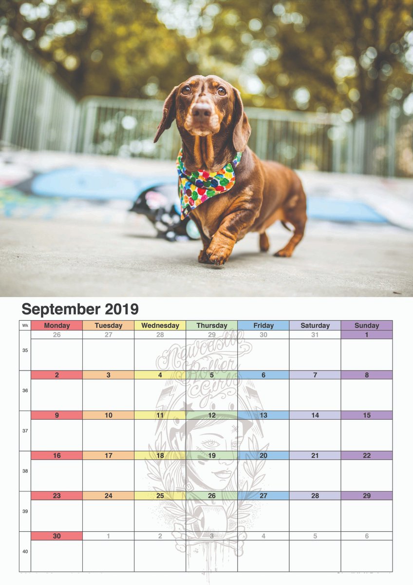 nclrollerderby's tweet image. It's the tweet you've all been waiting for!

The online shop is now live for our Dogs of Derby 2019 calendar.

newcastlerollergirls.co.uk/product/dogs-o…

Pre-order now for delivery or pick up at locations including the WFTDA Euro Continental Cup and @MenEuroCup

#dogsofderby #dogsofWFTDA #WOOFTDA